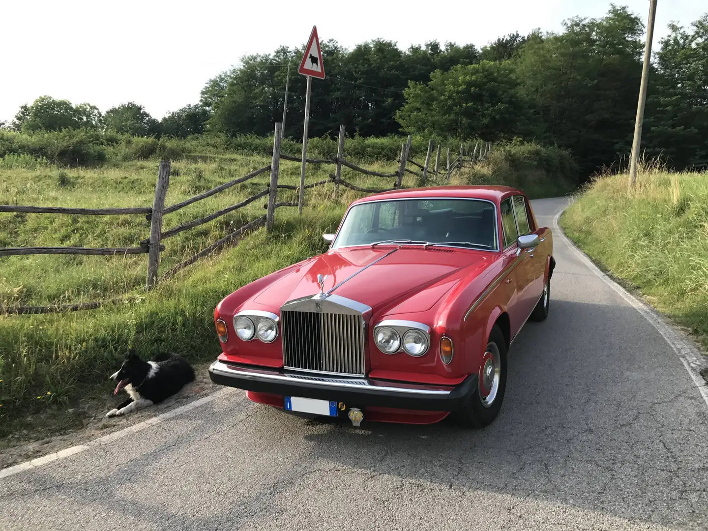 Rolls-Royce Silver Shadow Silver Shadow 6.8 II Rot - 2