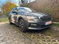 Skoda Scala Drive 125  Automatik Topp Gris - thumbnail 13