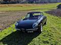 Alfa Romeo Spider Osso di seppia Schwarz - thumbnail 22