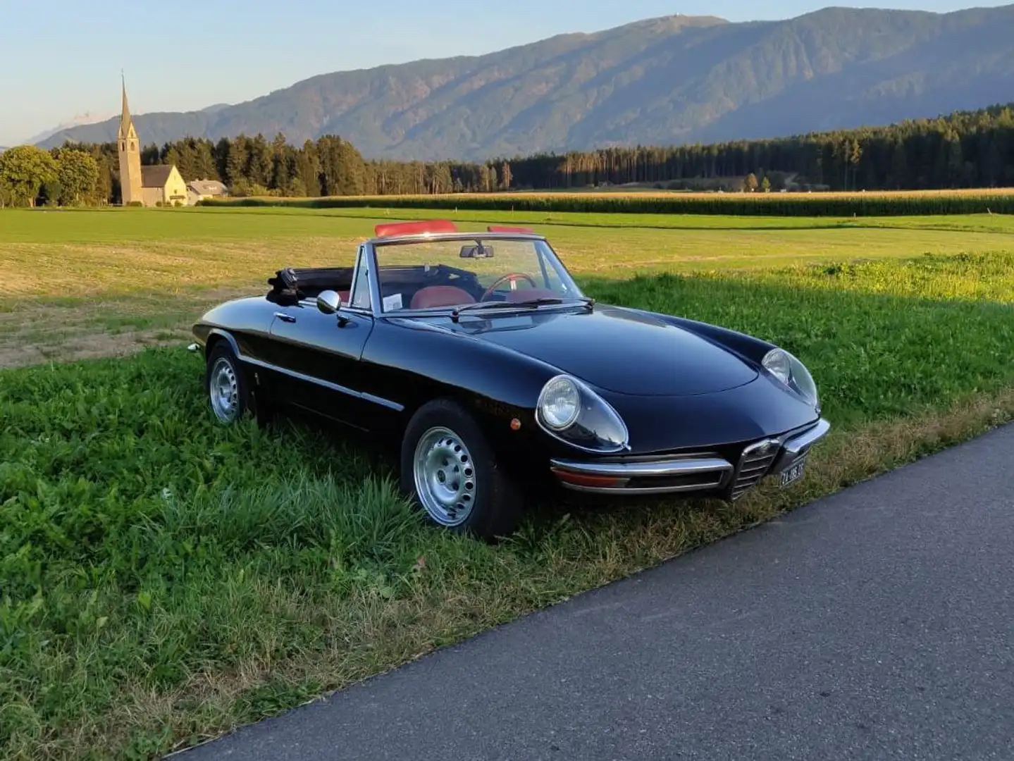 Alfa Romeo Spider Osso di seppia Schwarz - 2
