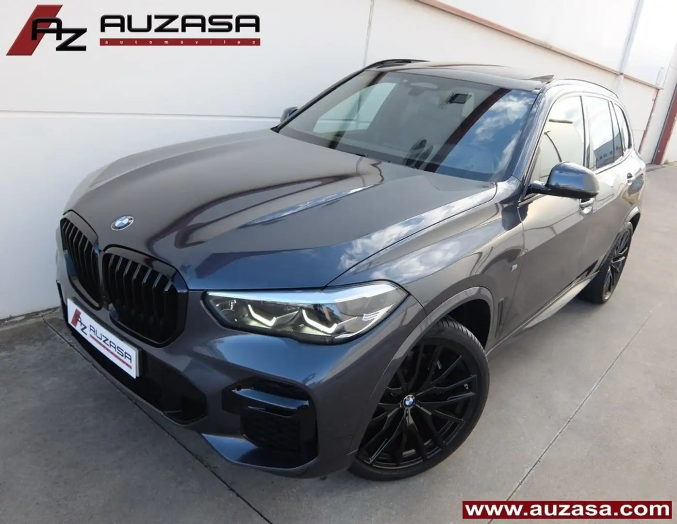 BMW X5 xDrive 30dA Gris - 1