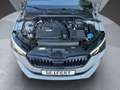 Skoda Scala I EDITION S I ABT I 190PS I APPLE CARPLAY I RFK I Gris - thumbnail 19
