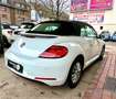 Volkswagen Beetle Cabriolet Allstar BMT Alb - thumbnail 8