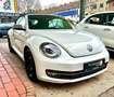 Volkswagen Beetle Cabriolet Allstar BMT Alb - thumbnail 6