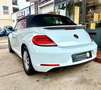 Volkswagen Beetle Cabriolet Allstar BMT Alb - thumbnail 12