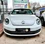Volkswagen Beetle Cabriolet Allstar BMT Alb - thumbnail 3