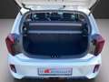 Kia Picanto PE2 1.2 MT GT-LINE Klima Navi Leder Weiß - thumbnail 19