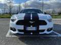 Ford Mustang 3.7 V6 Wit - thumbnail 4