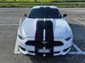 Ford Mustang 3.7 V6 Blanc - thumbnail 3