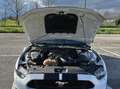 Ford Mustang 3.7 V6 Wit - thumbnail 11