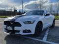 Ford Mustang 3.7 V6 Blanc - thumbnail 2