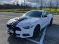 Ford Mustang 3.7 V6 Wit - thumbnail 1