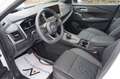 Nissan Qashqai Tekna*Pano*Leder*Head Up*360 Kamera Weiß - thumbnail 7