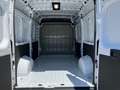 Fiat Ducato Serie 2 Kastenwagen L2H2 3000 120 MT Weiß - thumbnail 13