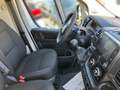 Fiat Ducato Serie 2 Kastenwagen L2H2 3000 120 MT Weiß - thumbnail 11