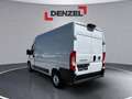 Fiat Ducato Serie 2 Kastenwagen L2H2 3000 120 MT Weiß - thumbnail 3