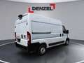 Fiat Ducato Serie 2 Kastenwagen L2H2 3000 120 MT Weiß - thumbnail 4
