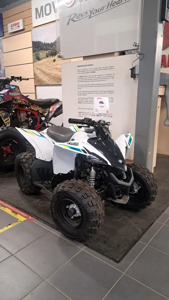Yamaha YFM 50