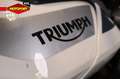 Triumph Tiger 900 GT PRO Wit - thumbnail 21