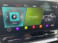 CUPRA Formentor 1.5 TSI LED Keyless AHK-klappbar Digitales Cockpit Wit - thumbnail 15