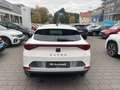 CUPRA Formentor 1.5 TSI LED Keyless AHK-klappbar Digitales Cockpit Wit - thumbnail 6