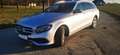 Mercedes-Benz E 250 E 250 T Aut. / Standheizung & Standlüftung Silber - thumbnail 1