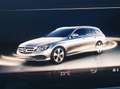 Mercedes-Benz E 250 E 250 T Aut. / Standheizung & Standlüftung Silber - thumbnail 26