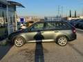 Skoda Fabia Wagon 1.0 tsi Design Edition 95cv - thumbnail 7