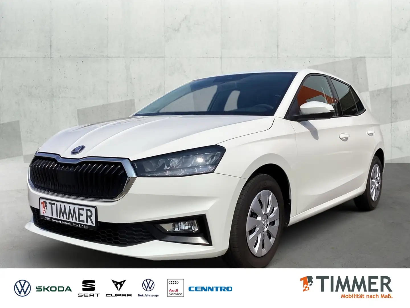 Skoda Fabia 1.0 TSI ACTIVE *LED *TEMPO *SHZ *DAB * Weiß - 1