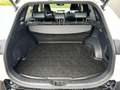 Toyota RAV 4 2.5 Hybrid AWD Bi-T. Weiß - thumbnail 4