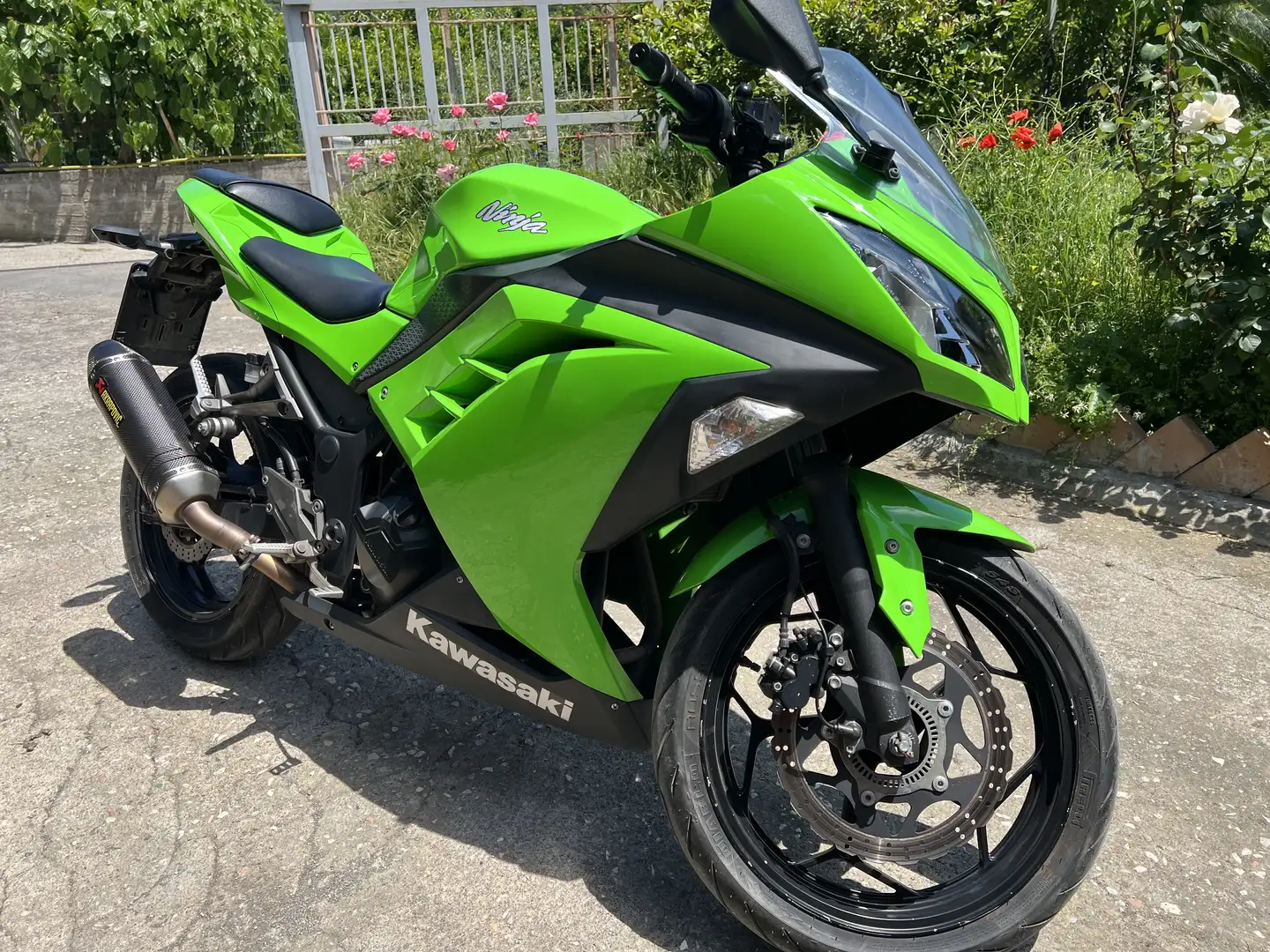 Kawasaki Ninja 300 - 1
