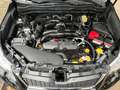 Subaru Forester 2.5 KAMERA + AHK + PANO + LEDER Schwarz - thumbnail 16