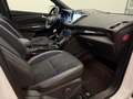 Ford Kuga Kuga 1,5 EcoBoost ST-Line ST-Line*1.Besitz*Pano* Weiß - thumbnail 16