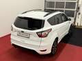 Ford Kuga Kuga 1,5 EcoBoost ST-Line ST-Line*1.Besitz*Pano* Weiß - thumbnail 6
