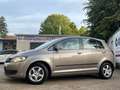 Volkswagen Golf Plus 1.6 TDI - 1.Hand - NEUE ZAHNRIEMEN & WASSERPUMPE Grau - thumbnail 2