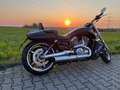 Harley-Davidson VRSC V-Rod Noir - thumbnail 1