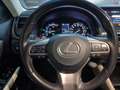 Lexus GS 300 300h Executive Negro - thumbnail 47