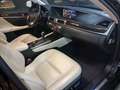 Lexus GS 300 300h Executive Negro - thumbnail 35