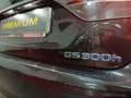 Lexus GS 300 300h Executive Negro - thumbnail 17