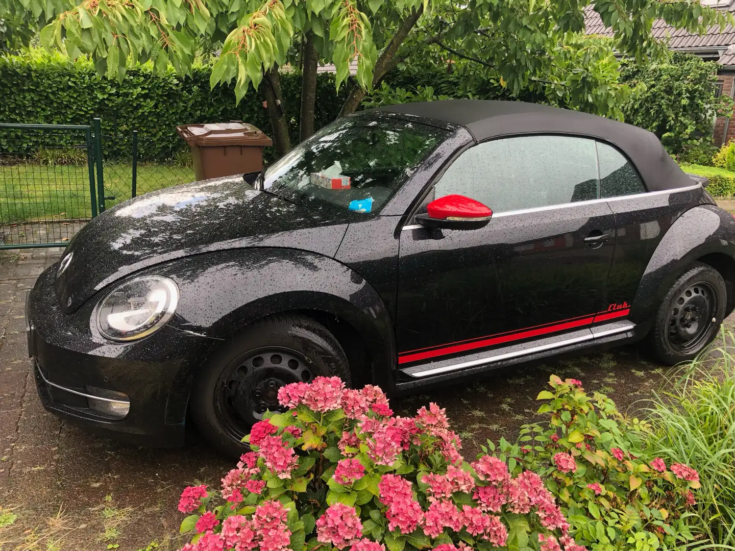 Volkswagen Beetle The Beetle Cabriolet 1.4 TSI BlueMotion Technology - 1