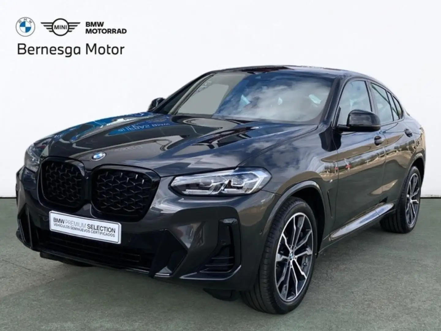 BMW X4 xDrive 20dA xLine Gris - 1