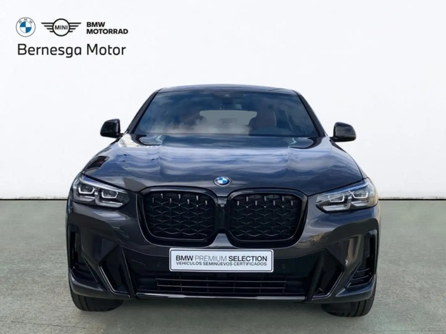 BMW X4 xDrive 20dA xLine Gris - 2