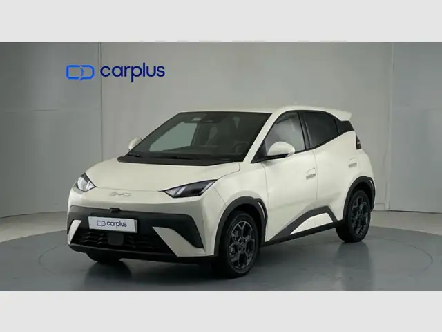 BYD Dolphin Surf