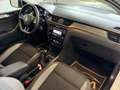 Skoda Rapid/Spaceback 1.0 TSI Sport | PANO | LED | RF-KAMERA | mtl. ab Weiß - thumbnail 19