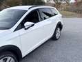 SEAT Leon León ST 2.0TDI XPERIENCE4 DRIVE Blanco - thumbnail 27