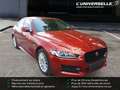 Jaguar XE UNIQUEMENT MARCHAND OU EXPORT Roşu - thumbnail 4