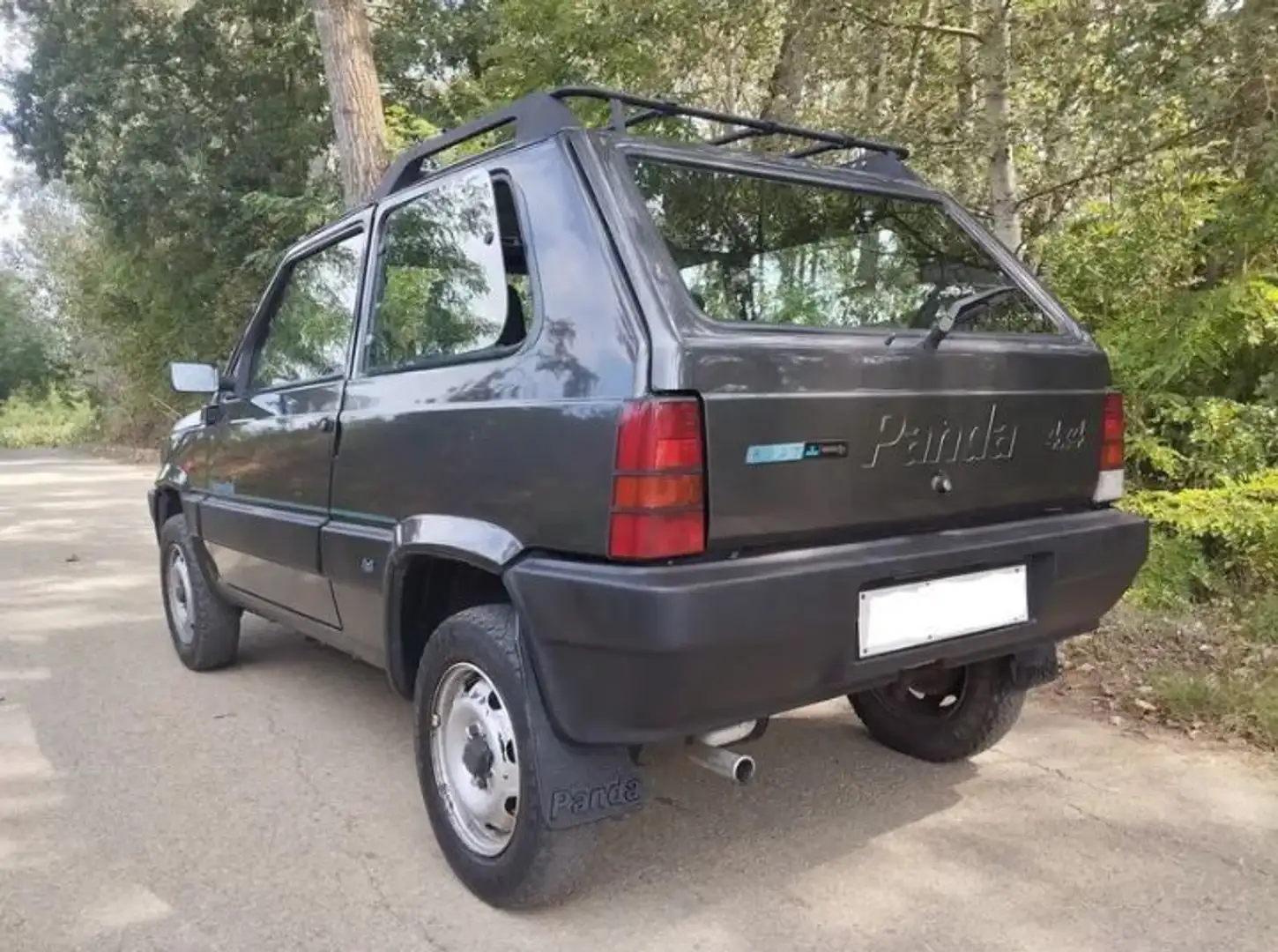 Fiat Panda 1.1 Country Club 4x4 cat. - 2