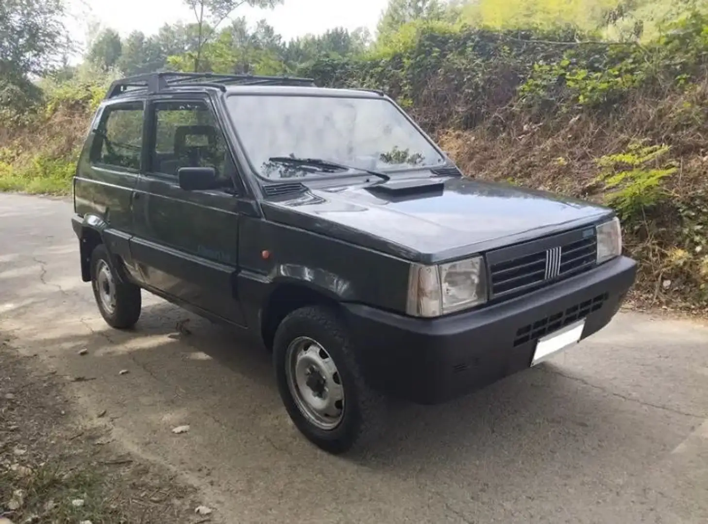 Fiat Panda 1.1 Country Club 4x4 cat. - 1