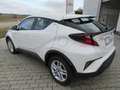Toyota C-HR Hybrid Flow Weiß - thumbnail 3