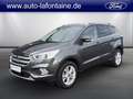 Ford Kuga Titanium *AHK*Rückf.kamera*u.v.m.* Gris - thumbnail 1